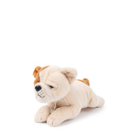 bt-chaps-bertha-the-american-bulldog-in-giftbox-20cm-8-btch-32177003