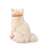 bt-chaps-dolly-the-ragdoll-32cm-12-5-btch-32179001