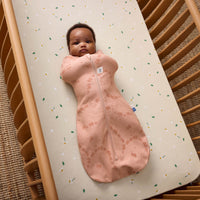 ergopouch-cocoon-sleeping-bag-1-0-tog-elephant-parade-ergo-zepco-1-0t00-03mep25