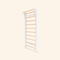 fitwood-taimi-wall-bars-white-birch-play-toy-fitw-1016