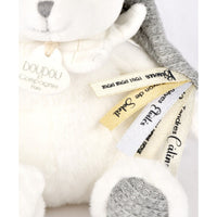 histoire-dours-doudou-25-ans-bear-silver-plus-hdummy-holder-hdo-dc4335