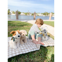 mon-ami-winston-the-schnauzer-mona-st1005
