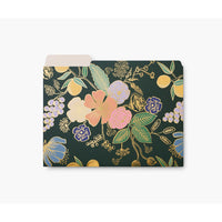 rifle-paper-co-colette-file-folder-set-rifl-ffa008