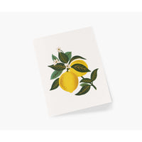 rifle-paper-co-lemon-blossom-card-rifl-gcm189
