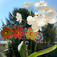 sentosphère-art-creations-premier-bouquet-sent-20000