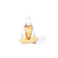 wild-&-soft-disguise-miffy-wild-ws1024