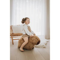 wild-soft-soft-bouncy-capybara