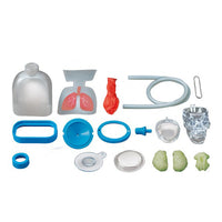 4m-kidz-labs-human-organs- (2)