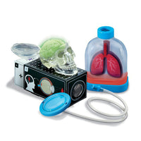 4m-kidz-labs-human-organs- (3)