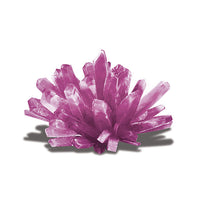 4m-science-in-action-crystal-growing- (3)