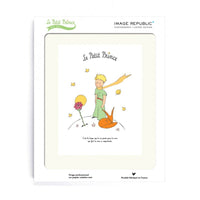 The Little Prince and The Rose 30x40cm Art print