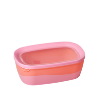 Rice DK Rectangular Two Tone Food Box Pink Orange Set of 3