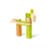 Tegu Jungle Magnetic Wooden Block 14 Pieces