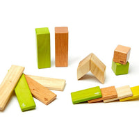 Tegu Jungle Magnetic Wooden Block 14 Pieces