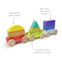 Tegu Shape Train Rainbow Magnetic Wooden Blocks