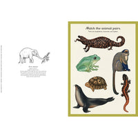 book-animalium (2)