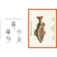 book-animalium (3)