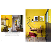 book-new-vintage-french-interiors- (3)