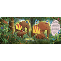 book-the-story-orchestra-carnival-of-the-animals- (3)