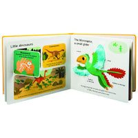 book-touch-&-explore-dinosaurs- (2)