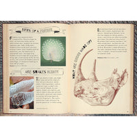 book-why-don't-fish-drown-and-other-vital-questions-about-the-animal-kingdom- (2)