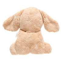britt-snuggles-puppy-biscuit- (3)