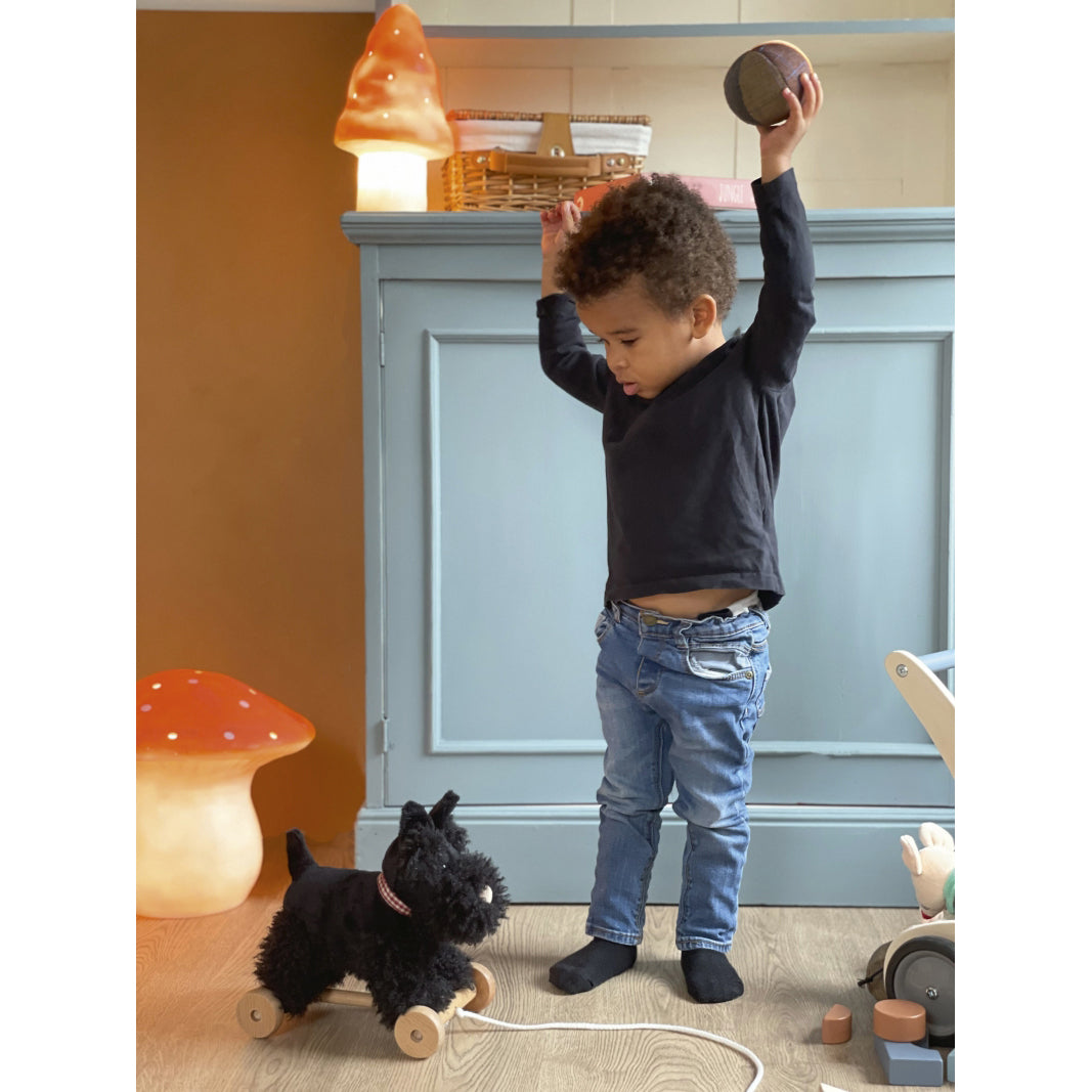 Egmont Toys Pull Along Mary Lamb