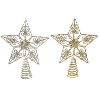 goodwill-glt-star-topper-champ- (2)