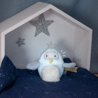 histoire-d-ours-asst-doudous-veilleuse-choco-menthe-x6- (13)