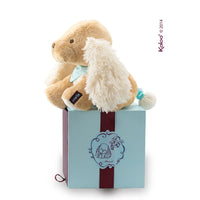 kaloo-les-amis-musical-caramel-puppy-plush-toy-baby-music-kalo-k963141-02