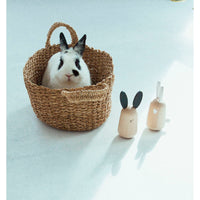 kukkia-a-pair-of-loving-musical-rabbits- (12)