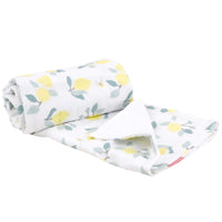 little-crevette-plaid-photobooth-limonade- (3)