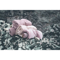 numero-74-towel-dusty-pink-02