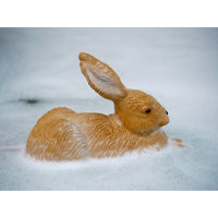 oli-&-carol-forest-collection-rabbit-and-mushrooms-teether- (46)