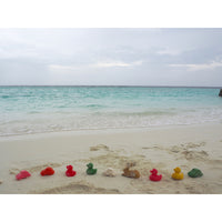 oli-&-carol-forest-collection-rabbit-and-mushrooms-teether- (51)