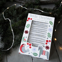 rex-nordic-christmas-silver-wire-led-lights- (4)