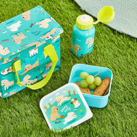 rjb-stone-puppy-dog-playtime-water-bottle- (4)