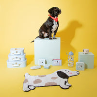 rjb-stone-set-of-3-barney-the-dog-lunch-boxes- (6)