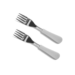 avanchy-gray-stainless-steel-fork-2-pack-avan-grsstf2