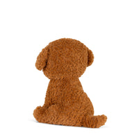 bon-bon-toys-stacy-the-labradoodle-in-giftbox-18-cm-7-brown-play-toy-btt-10003510