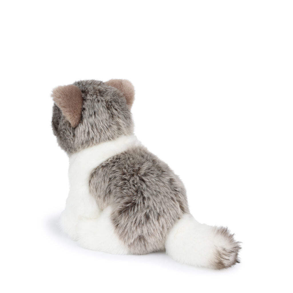 bt-chaps-amelie-the-scottisch-fold-in-giftbox-17cm-6-5-btch-32179010