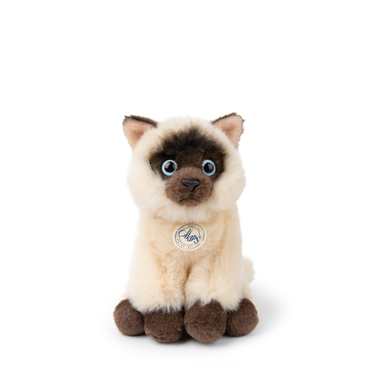 bt-chaps-eddie-the-siamese-in-giftbox-17cm-6-5-btch-32179004