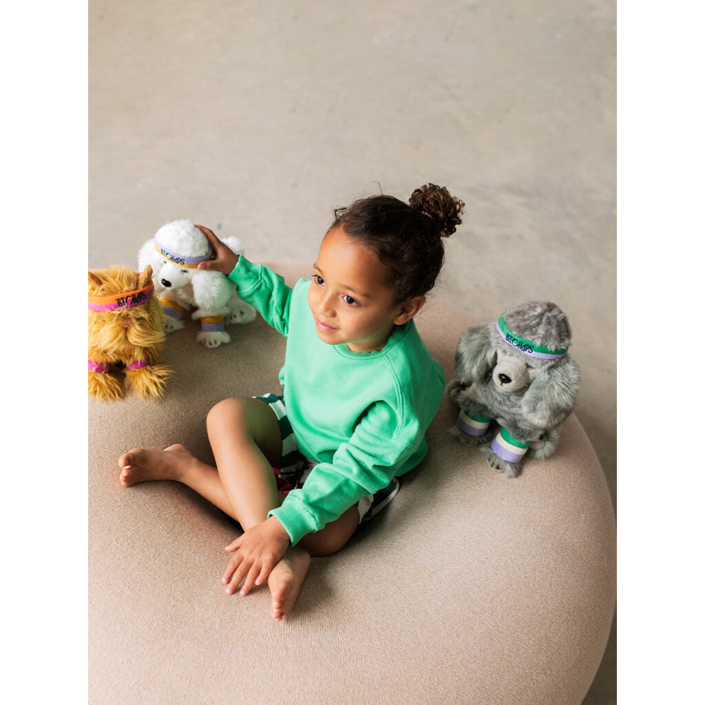 bt-chaps-franny-the-poodle-24cm-9-5-btch-32177009