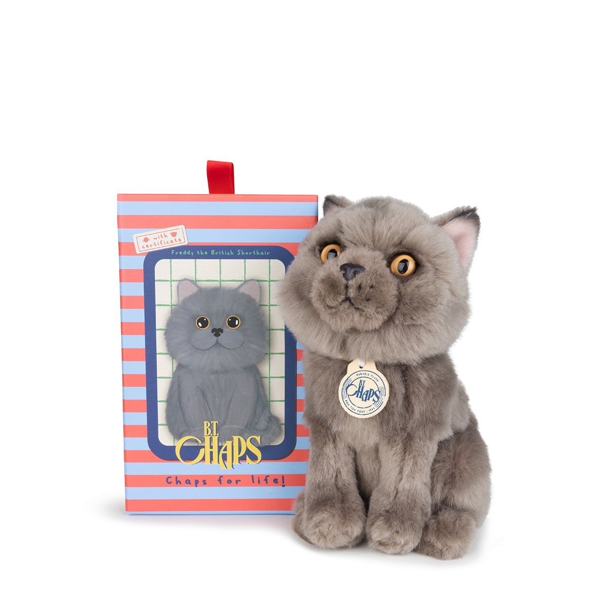 bt-chaps-freddy-the-british-shorthair-floppy-in-giftbox-17cm-6-5-btch-32179007