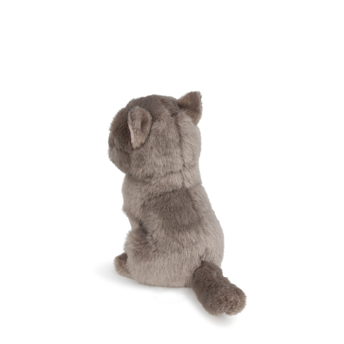 bt-chaps-freddy-the-british-shorthair-floppy-in-giftbox-17cm-6-5-btch-32179007