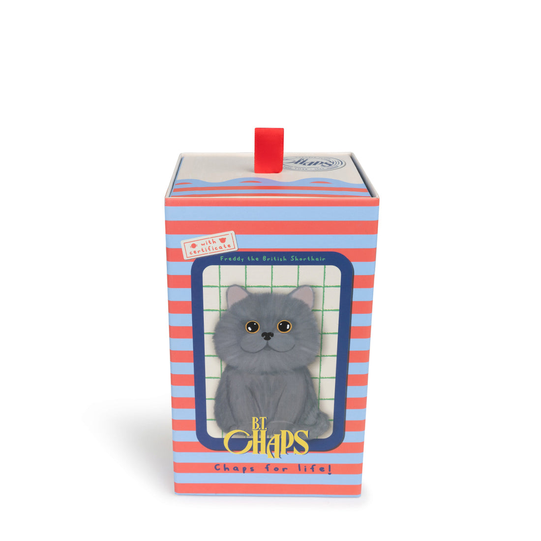bt-chaps-freddy-the-british-shorthair-floppy-in-giftbox-17cm-6-5-btch-32179007