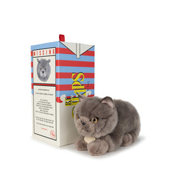 bt-chaps-freddy-the-british-shorthair-in-giftbox-20cm-8-btch-32179003