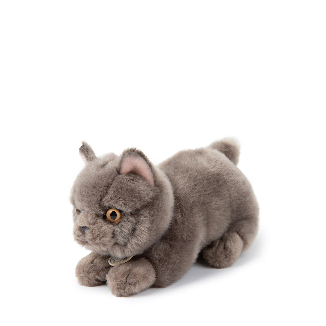 bt-chaps-freddy-the-british-shorthair-in-giftbox-20cm-8-btch-32179003
