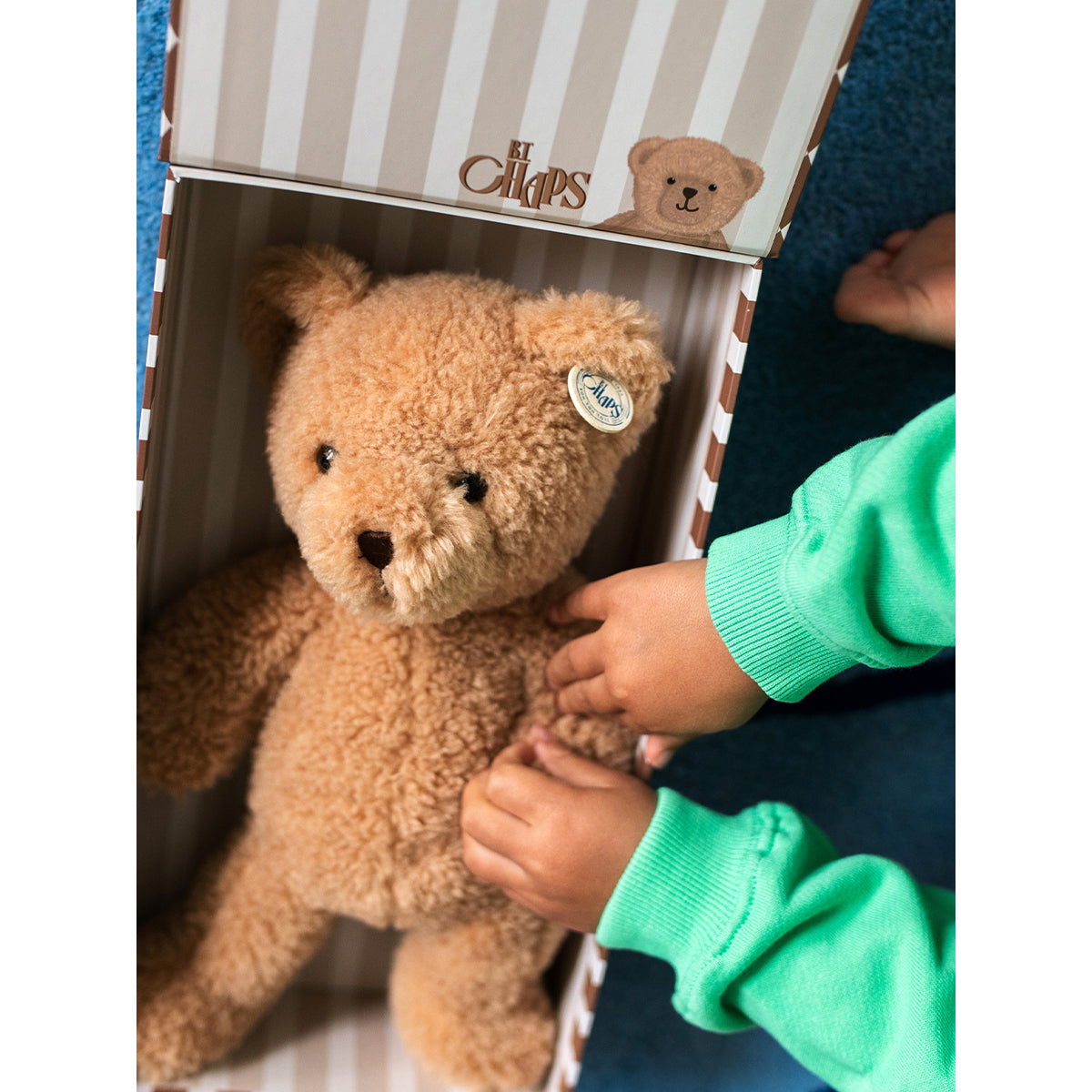 bt-chaps-gus-the-homie-bear-in-giftbox-25cm-10-btch-32184004
