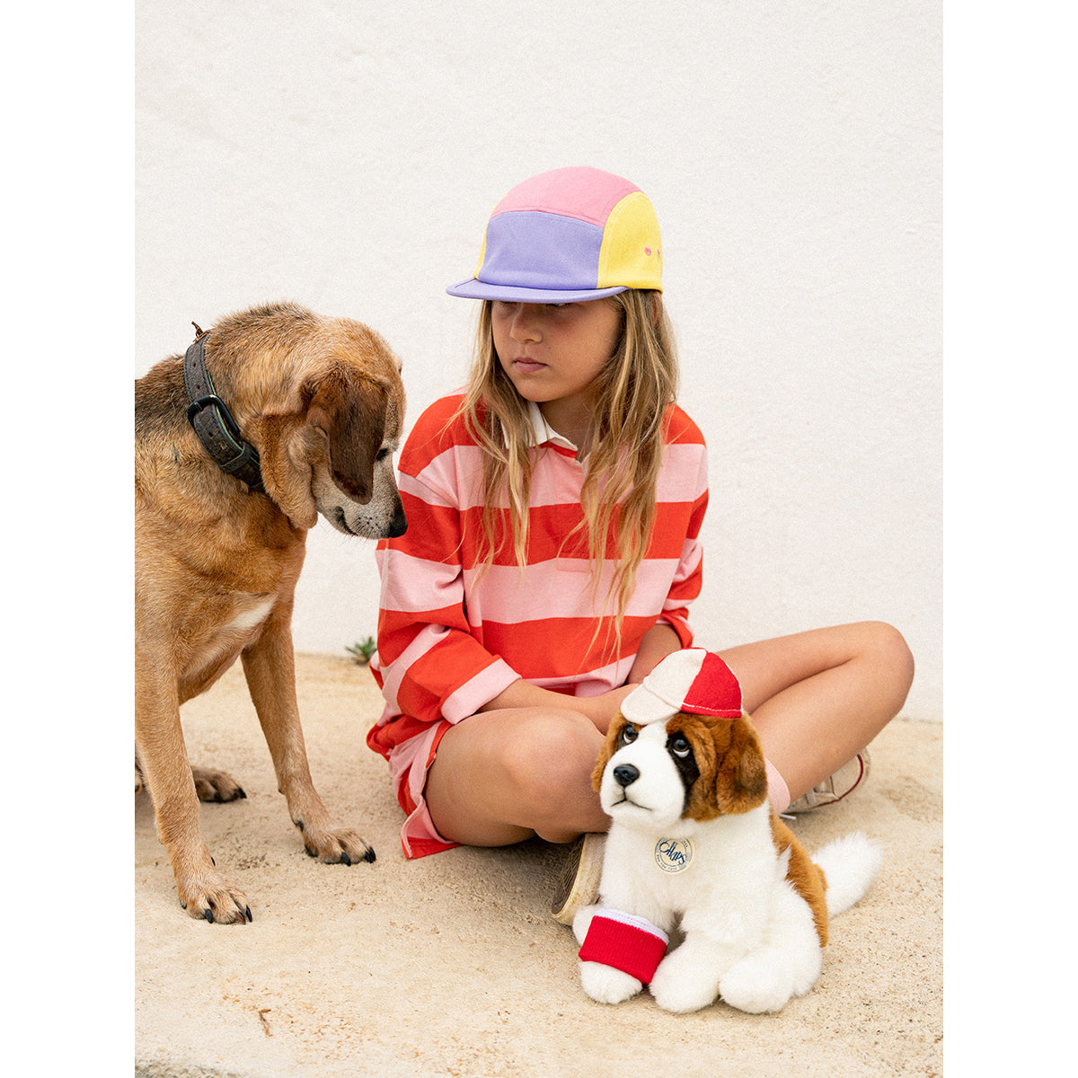 bt-chaps-herman-the-st-bernard-32cm-12-5-btch-32177001